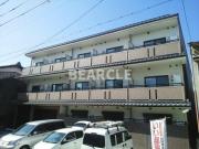 ブライトマーチ タナカ