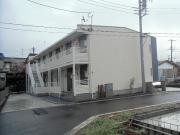 さくらい