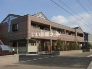 Windyhills′Y