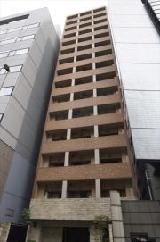 トーシンフェニックス芝アストラーレ