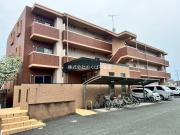 Spring長嶺南