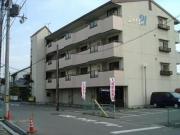 シャトレ21