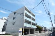 エルミタージュS20