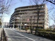 KS桜川