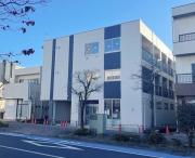 アベリア コンフェッティ