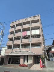 ルミエール箱崎