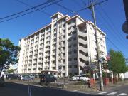 駅南ハイツ