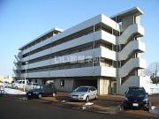 ＪＲ信越本線長岡駅まで徒歩56分