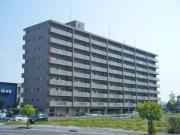 アルファステイツ知寄III