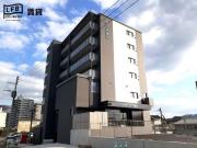コスモス M