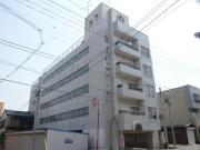 RitzII