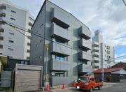Sugarloaf Park花ノ木