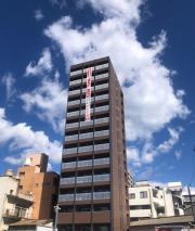 POTHOS呉本通