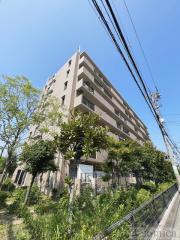 アディーレ八尾