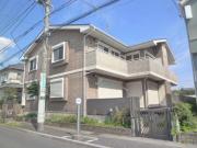 ミモザヤマノ