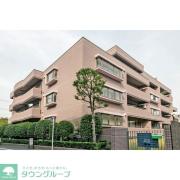 ステラメゾン碑文谷