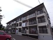サングリーン今井