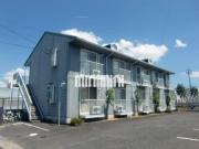アネックスSHIMA
