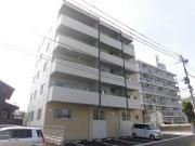 アルテマイスターカメリア