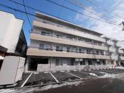 bills 桔梗ーKIKYO