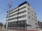 ホーリーホック