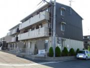 イルマーレ
