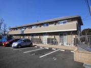 カサブランカセブン