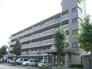 ヴェルディ深川