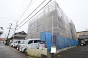 REGALEST 伊島II