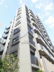 ライオンズマンション白金台