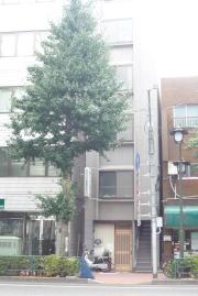 今野ビル