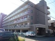 SAKAE21
