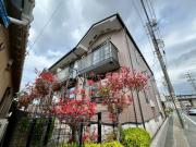 エヴァーグリーン二川