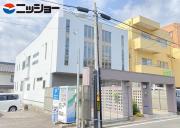 シーズンステージ一社