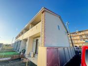 チェリーブロッサム