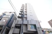 Star Heights