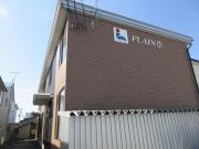 PLAIN7