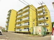 エード白川