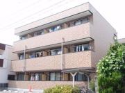 アンプルール フェール VertII