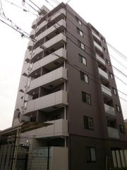 DIPS小竹向原