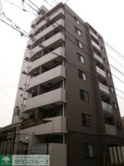 DIPS小竹向原