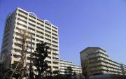 UR新川・島屋敷通り