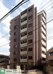 DIPS小竹向原