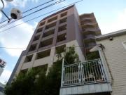S-FORT柏