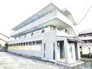 シーレグ山城