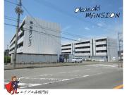 徳島県鳴門市撫養町弁財天字ハマ