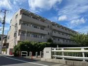 ステラ石神井