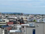 コージーコート