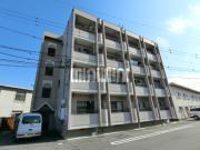 ラポール横割