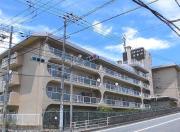 スターハイツ住吉川